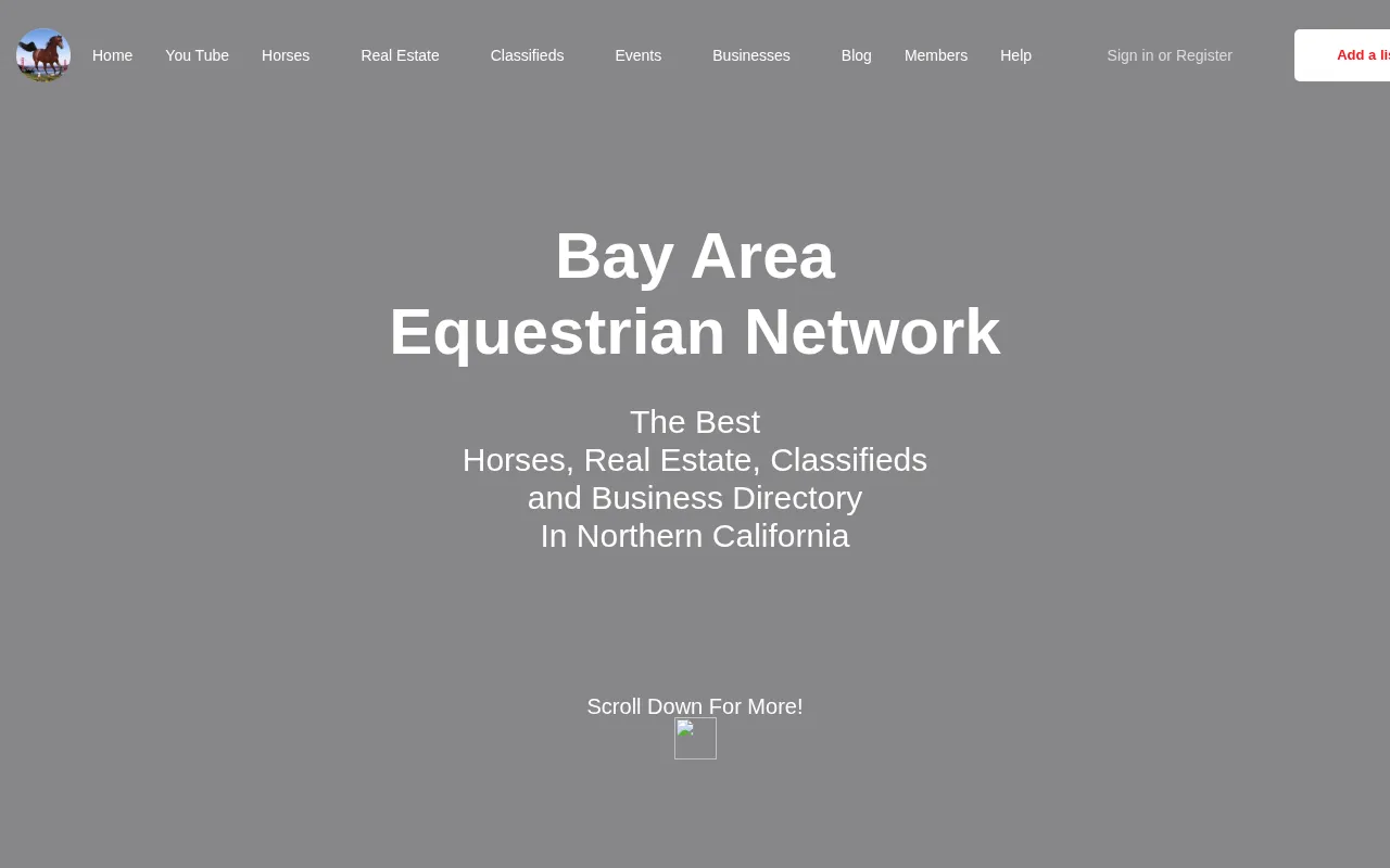 Bay Area Equestrian Network homepage